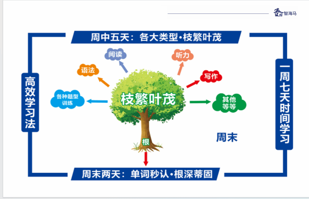 惠州智海馬英語培訓理念