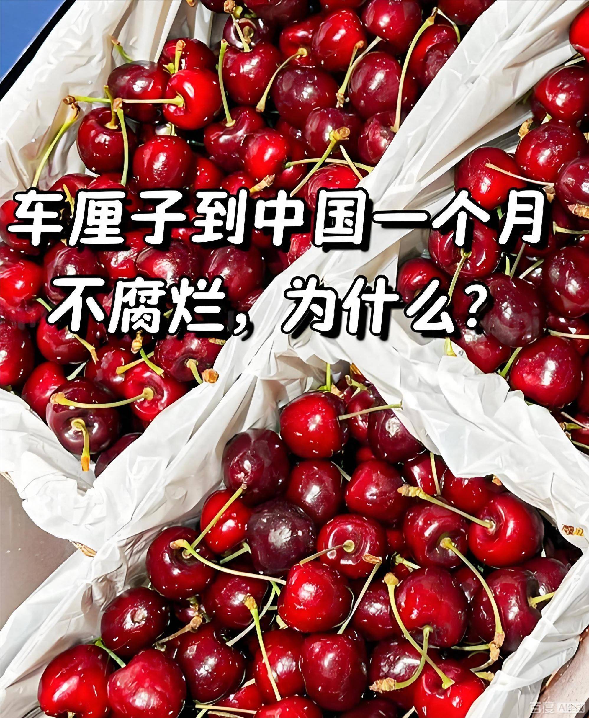 原創為啥車釐子1個月到中國都不腐爛?一場精心策劃的“水果冬眠”