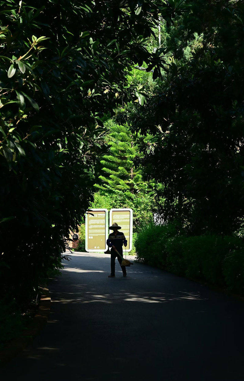 2025影像盤點 | 光影為筆，定格百態——攝影師 龔曼子