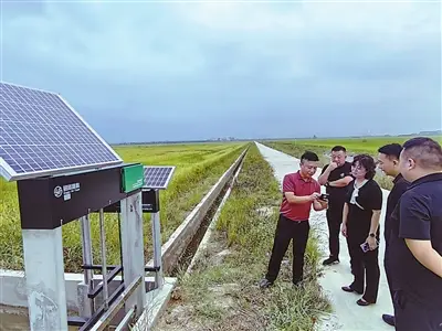 書寫田埂間的“科技答卷”